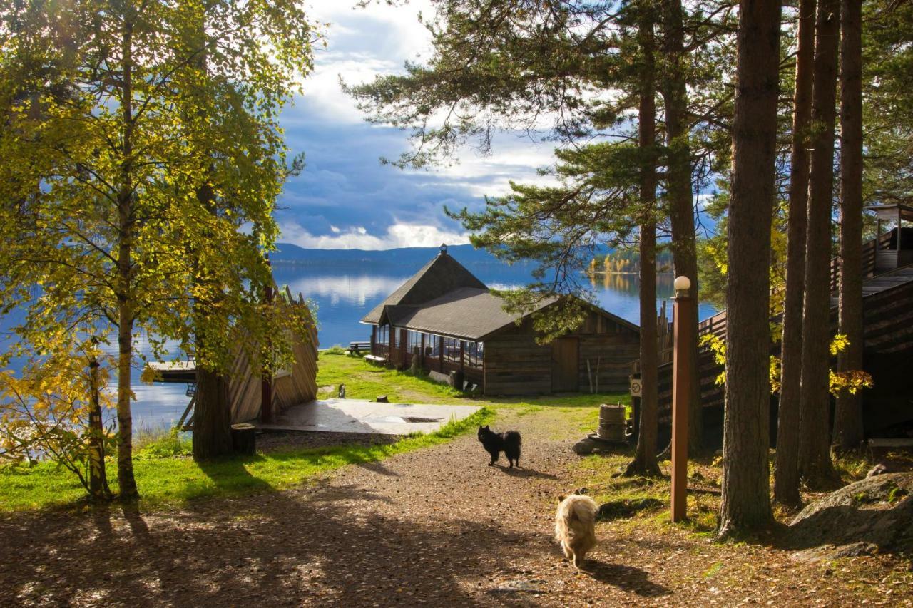 Herranniemi Guesthouse Vuonislahti Luaran gambar
